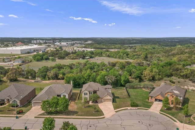drone / aerial view
