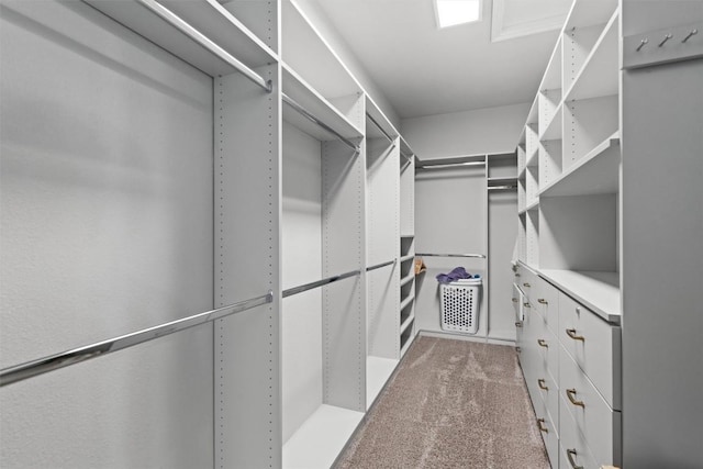 2015 Colina Cv, Cedar Park, TX 78613 - walk in closet with carpet