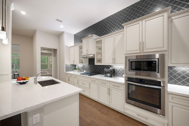 433 Chitalpa St, Leander, TX 78641 - kitchen with appliances with stainless steel finishes, a sink, wood finished floors, light stone countertops, and glass insert cabinets