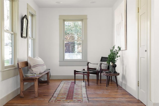 1313 W 9th 1/2 St, Austin, TX 78703 - living area featuring plenty of natural light and wood finished floors
