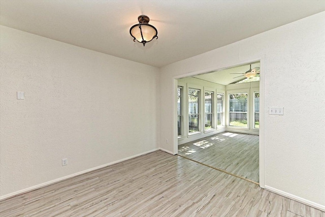 5003 Wing Rd, Austin, TX 78749 - photo 9