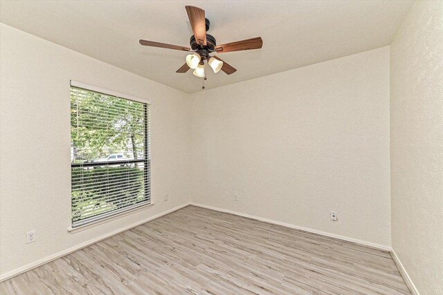 5003 Wing Rd, Austin, TX 78749 - photo 16