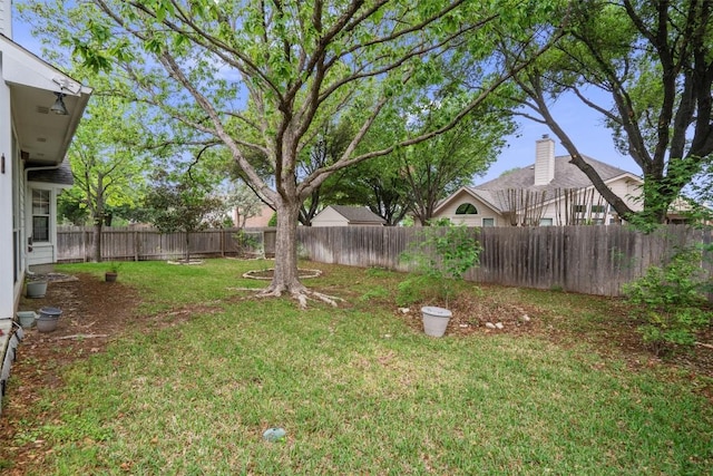 901 Cashew Ln, Cedar Park, TX 78613 - photo 35