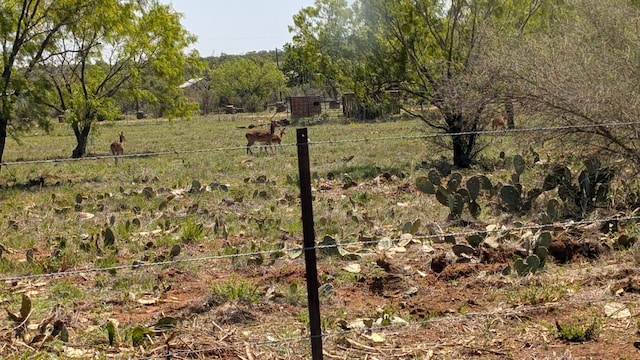 view of yard featuring a rural view