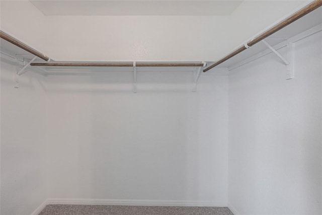 12103 Tolson Dr, Manor, TX 78653 - spacious closet featuring carpet floors