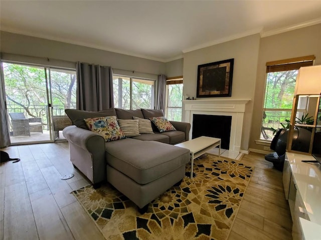 living room featuring a wealth of natural light, crown molding, light wood-style floors, and a fireplace