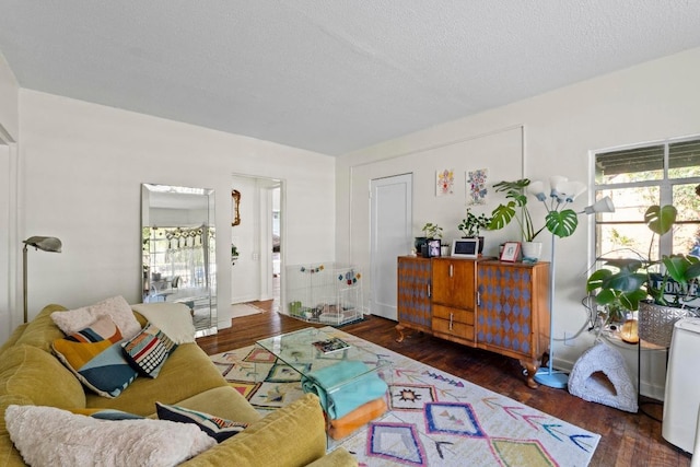 1403 Ashwood Rd, Austin, TX 78722 - photo 6
