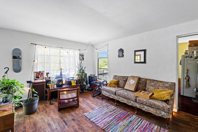 1403 Ashwood Rd, Austin, TX 78722 - living area featuring wood finished floors and radiator heating unit