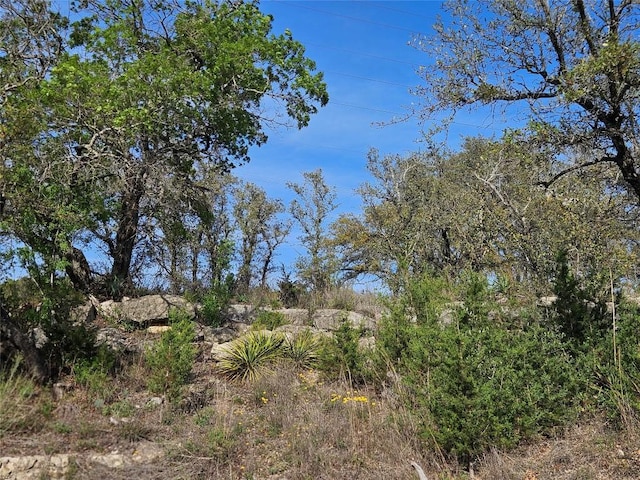 431 County Road 413, Spicewood, TX 78669 - photo 30