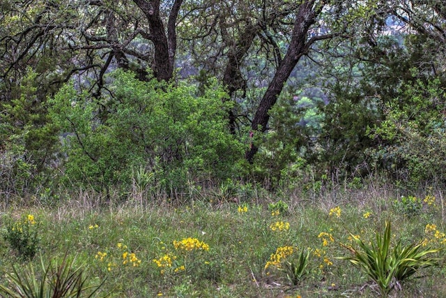 18333 Hidden Ridge Pl, Lago Vista, TX 78645