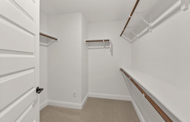 16724 Santiaguillo Trce, Manor, TX 78653 - spacious closet with light colored carpet