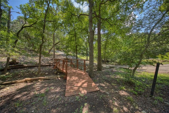107 Stageline Dr, Kyle, TX 78640 - photo 14