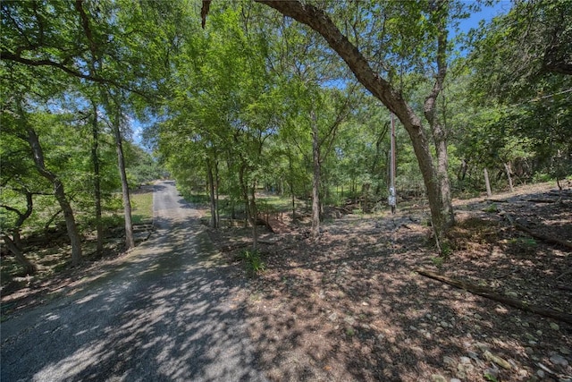 107 Stageline Dr, Kyle, TX 78640 - photo 2
