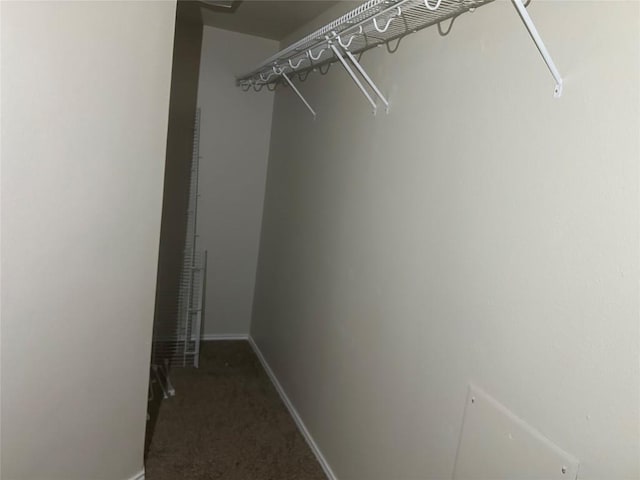 spacious closet with carpet flooring