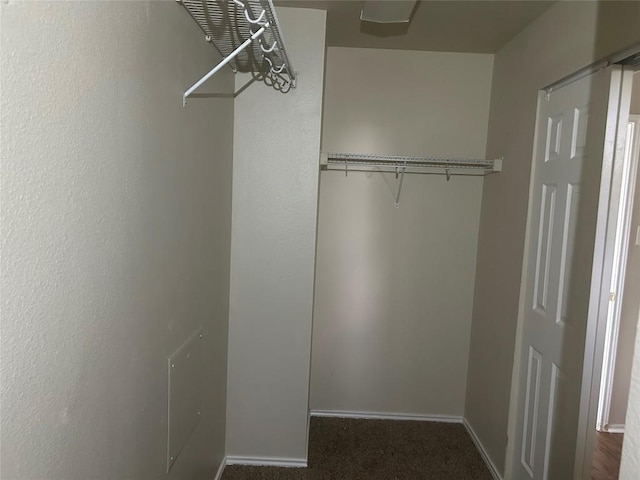 walk in closet with carpet