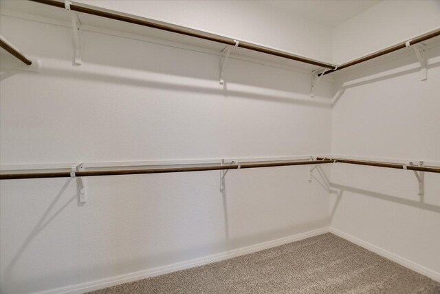 105 Saviano Rd, Hutto, TX 78634 - spacious closet featuring carpet flooring
