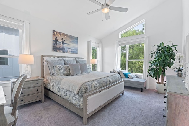 8922 Menchaca Rd Unit 204, Austin, TX 78748 - carpeted bedroom with lofted ceiling and a ceiling fan