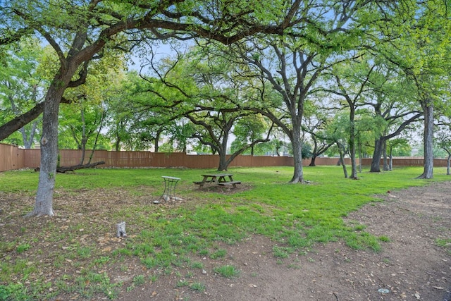 8922 Menchaca Rd Unit 204, Austin, TX 78748 - view of yard