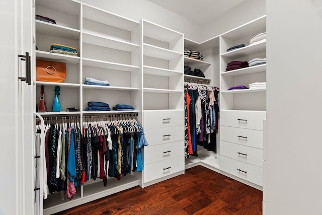 spacious closet with dark wood-style flooring