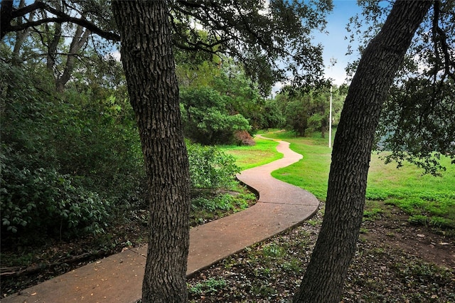 5216 Trading Bnd, Austin, TX 78735 - view of property's community featuring a yard