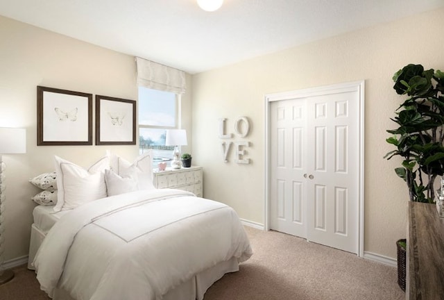 1517 Purple Martin Dr, Pflugerville, TX 78660 - bedroom featuring a closet, baseboards, and carpet