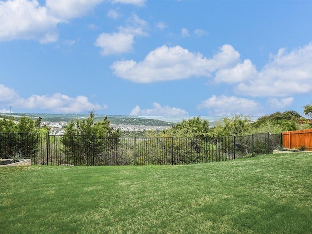 2733 Painted Sky Bnd, Leander, TX 78641 - view of yard