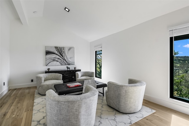 1903 Toro Canyon Rd, Austin, TX 78746 - living area with wood finished floors and high vaulted ceiling
