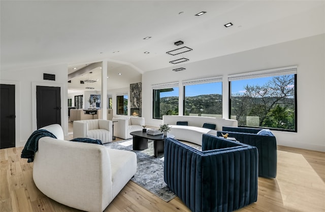 1903 Toro Canyon Rd, Austin, TX 78746 - living room with vaulted ceiling and light wood-style flooring