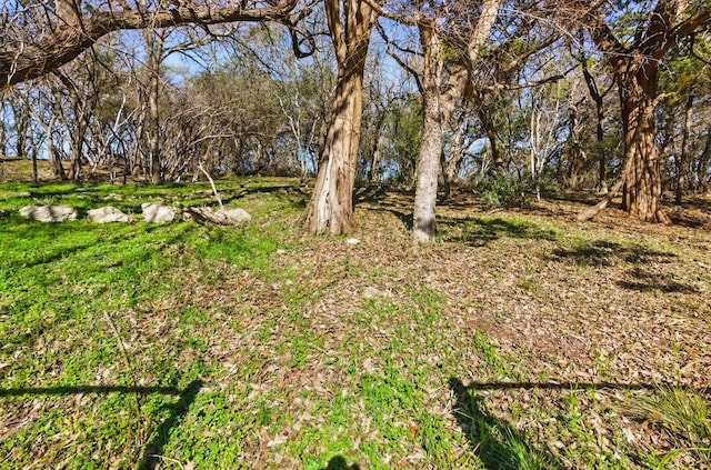 6014 London Dr, Austin, TX 78745 - view of yard