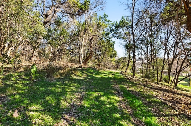 6014 London Dr, Austin, TX 78745 - view of green lawn