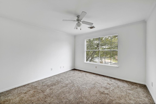 13401 Lamplight Village Ave, Austin, TX 78727 - photo 22