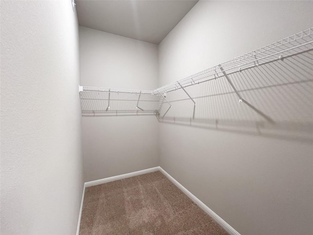 676 Ferrule Dr, Kyle, TX 78640 - walk in closet with carpet flooring