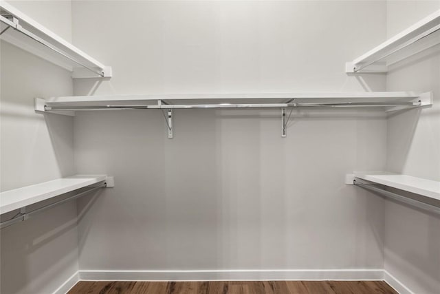 4510 Terry-O Ln Unit 141, Austin, TX 78745 - walk in closet with dark wood-style flooring