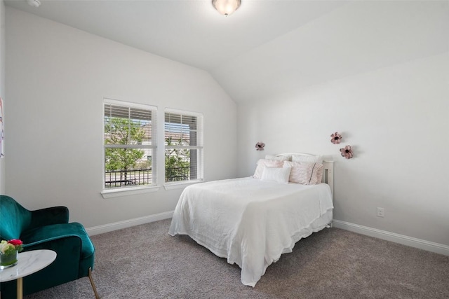 306 Gulfton St, Austin, TX 78738 - bedroom featuring carpet and lofted ceiling