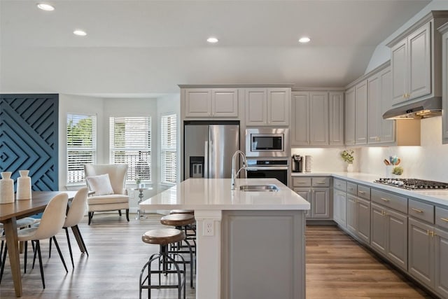 306 Gulfton St, Austin, TX 78738 - kitchen with appliances with stainless steel finishes, a sink, gray cabinets, under cabinet range hood, and light wood finished floors