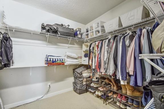5907 Akin Run, San Antonio, TX 78261 - walk in closet with carpet floors