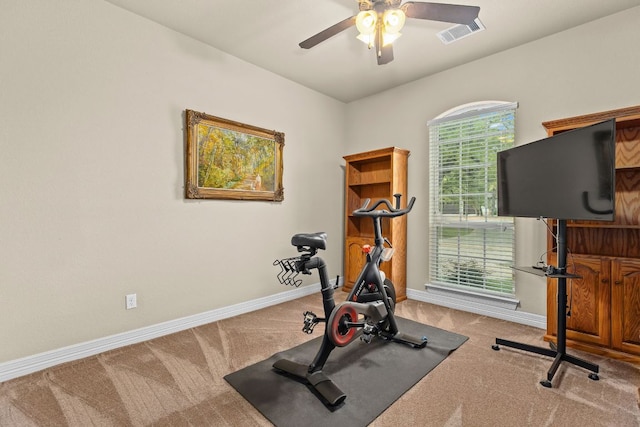 201 Aldea St, Georgetown, TX 78633 - exercise area featuring carpet, ceiling fan, and baseboards