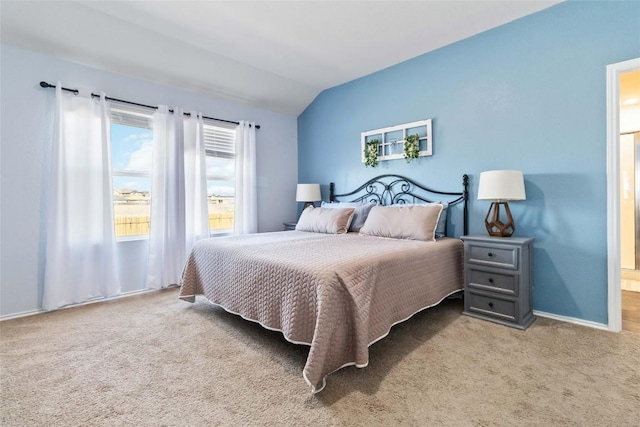 215 Whipporwill Ln, San Marcos, TX 78666 - carpeted bedroom with vaulted ceiling and baseboards