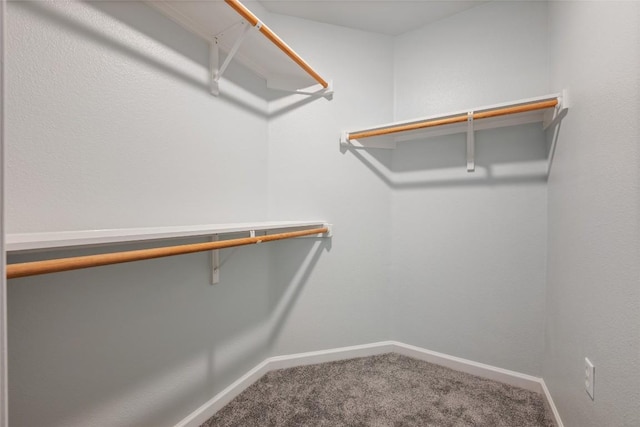 spacious closet with carpet flooring