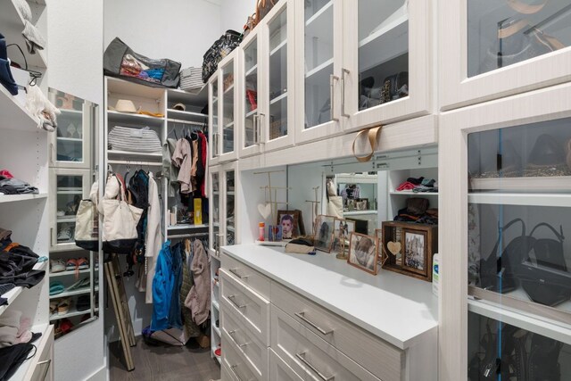 4525 Via Roma Pass, Leander, TX 78641 - view of walk in closet