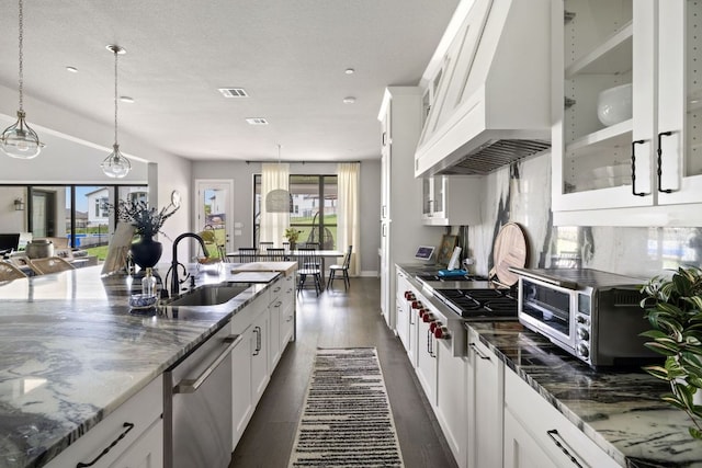 4525 Via Roma Pass, Leander, TX 78641 - kitchen featuring appliances with stainless steel finishes, premium range hood, a sink, white cabinets, and glass insert cabinets