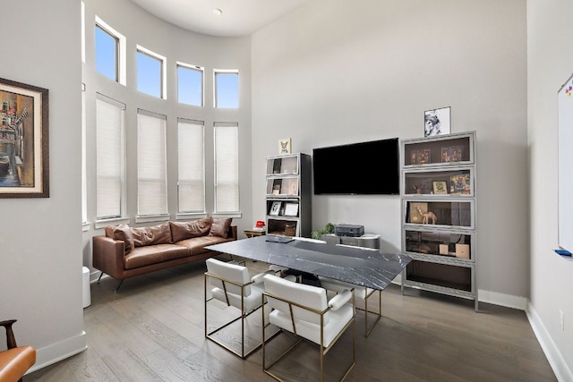 4525 Via Roma Pass, Leander, TX 78641 - living area featuring wood finished floors, a high ceiling, and baseboards