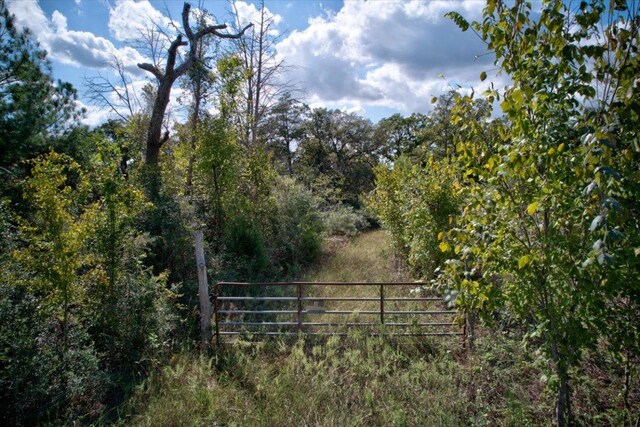 123 Abbey Ln, Smithville, TX 78957