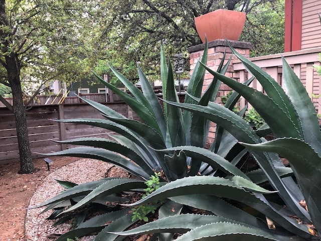 900 W Lynn St, Austin, TX 78703 - exterior view