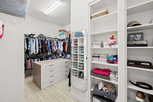 view of walk in closet
