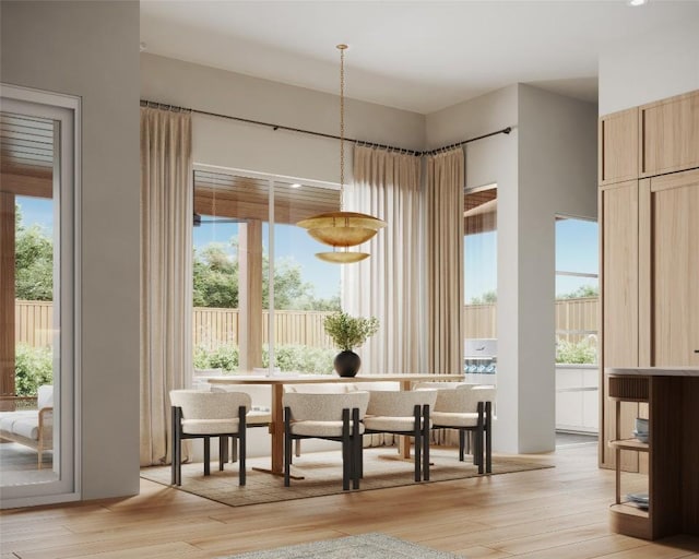 interior space with a wealth of natural light and light wood finished floors