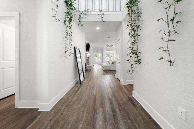 134 Soft Elm Dr, Buda, TX 78610 - corridor with dark wood-type flooring and baseboards