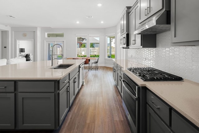 134 Soft Elm Dr, Buda, TX 78610 - kitchen featuring a sink, under cabinet range hood, gray cabinetry, stainless steel appliances, and recessed lighting