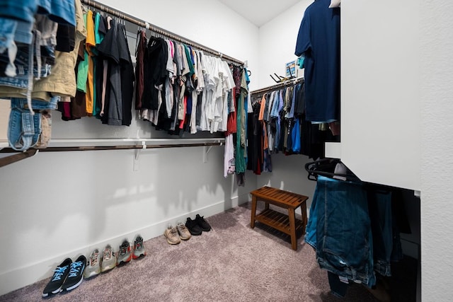 134 Soft Elm Dr, Buda, TX 78610 - spacious closet with carpet