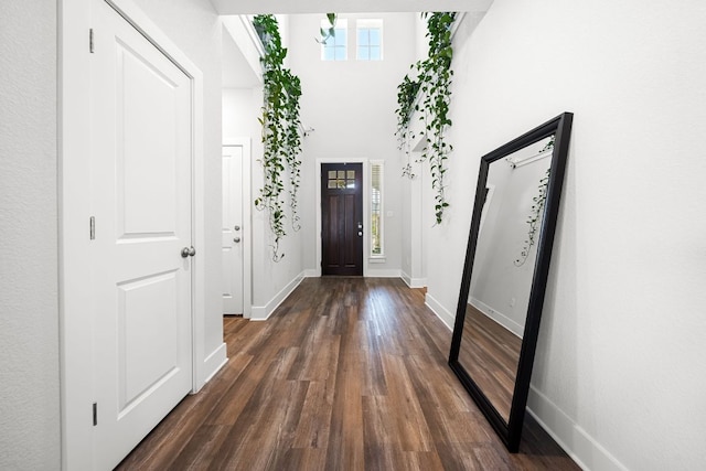 134 Soft Elm Dr, Buda, TX 78610 - entryway with dark wood-style floors and baseboards